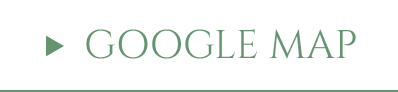 Googlemap